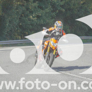 thumb_FF109908