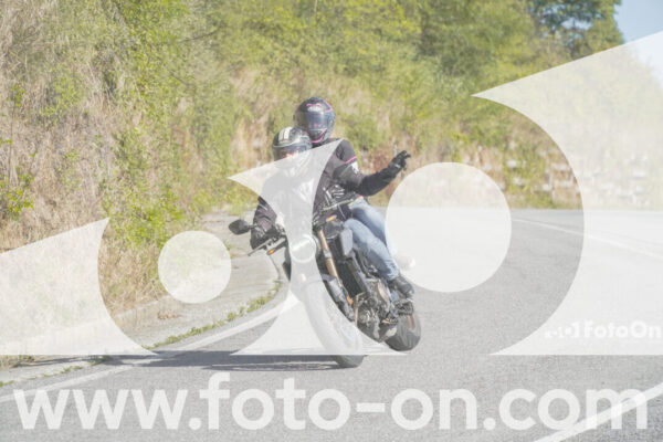 <h1 class="product-title">thumb_FF109921</h1>