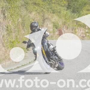 thumb_FF109929