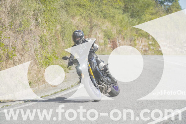 <h1 class="product-title">thumb_FF109929</h1>
