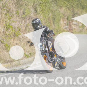 thumb_FF109931