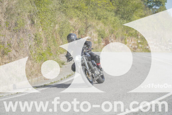 <h1 class="product-title">thumb_FF109936</h1>