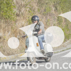 thumb_FF109937