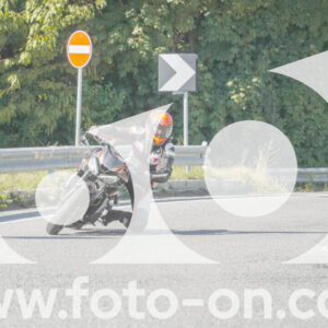 thumb_FF109941
