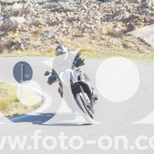 thumb_Lombarda-003