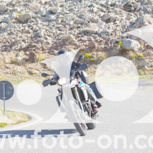 thumb_Lombarda-004