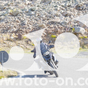 thumb_Lombarda-005