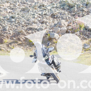 thumb_Lombarda-006