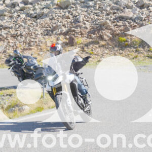 thumb_Lombarda-013