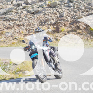 thumb_Lombarda-018