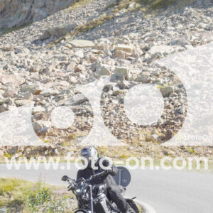 thumb_Lombarda-024