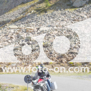 thumb_Lombarda-030
