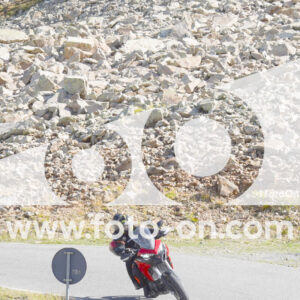 thumb_Lombarda-031