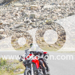 thumb_Lombarda-032