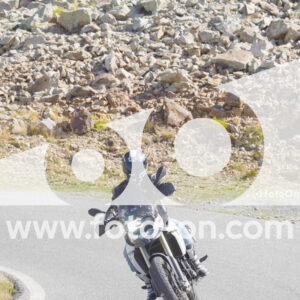 thumb_Lombarda-036