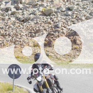 thumb_Lombarda-039