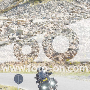 thumb_Lombarda-041