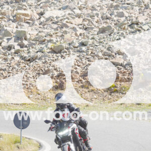 thumb_Lombarda-042