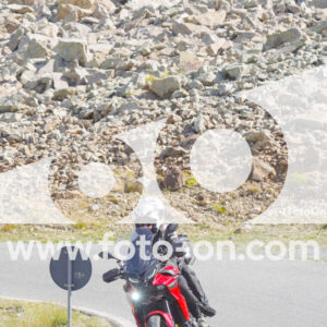 thumb_Lombarda-046
