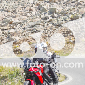 thumb_Lombarda-047