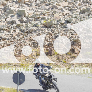 thumb_Lombarda-055