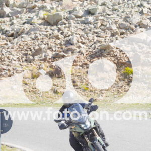 thumb_Lombarda-060