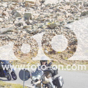 thumb_Lombarda-065