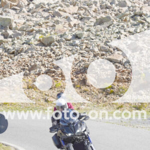 thumb_Lombarda-066