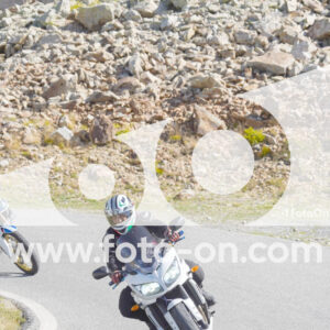 thumb_Lombarda-074