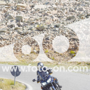 thumb_Lombarda-077