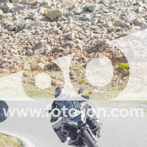 thumb_Lombarda-080