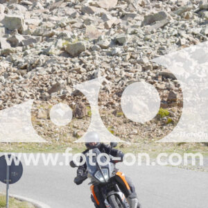 thumb_Lombarda-082