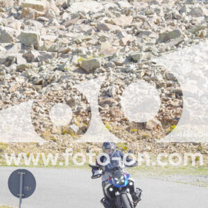 thumb_Lombarda-083