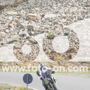 thumb_Lombarda-084