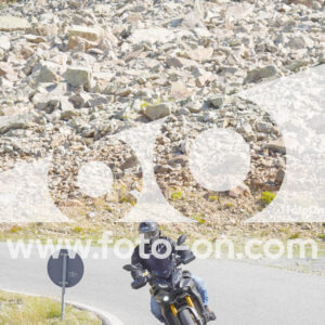 thumb_Lombarda-087