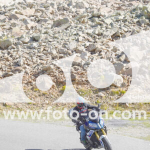 thumb_Lombarda-088