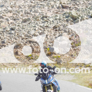 thumb_Lombarda-089