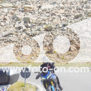 thumb_Lombarda-090