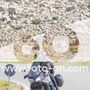 thumb_Lombarda-093