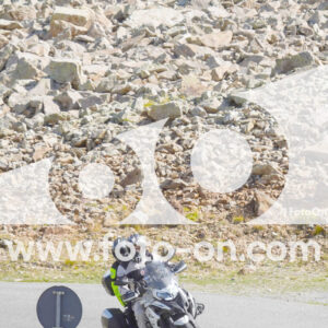 thumb_Lombarda-094