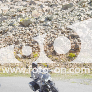 thumb_Lombarda-098