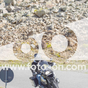thumb_Lombarda-099