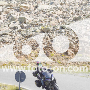 thumb_Lombarda-101