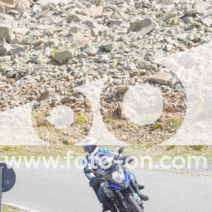 thumb_Lombarda-105