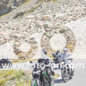 thumb_Lombarda-107