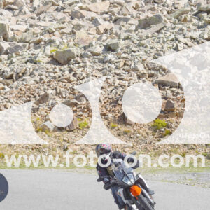 thumb_Lombarda-114