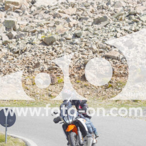 thumb_Lombarda-115