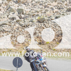 thumb_Lombarda-116