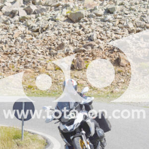 thumb_Lombarda-117