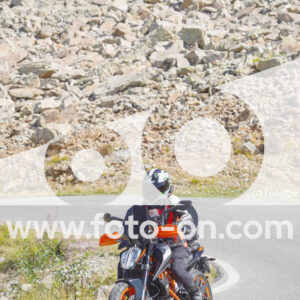 thumb_Lombarda-119